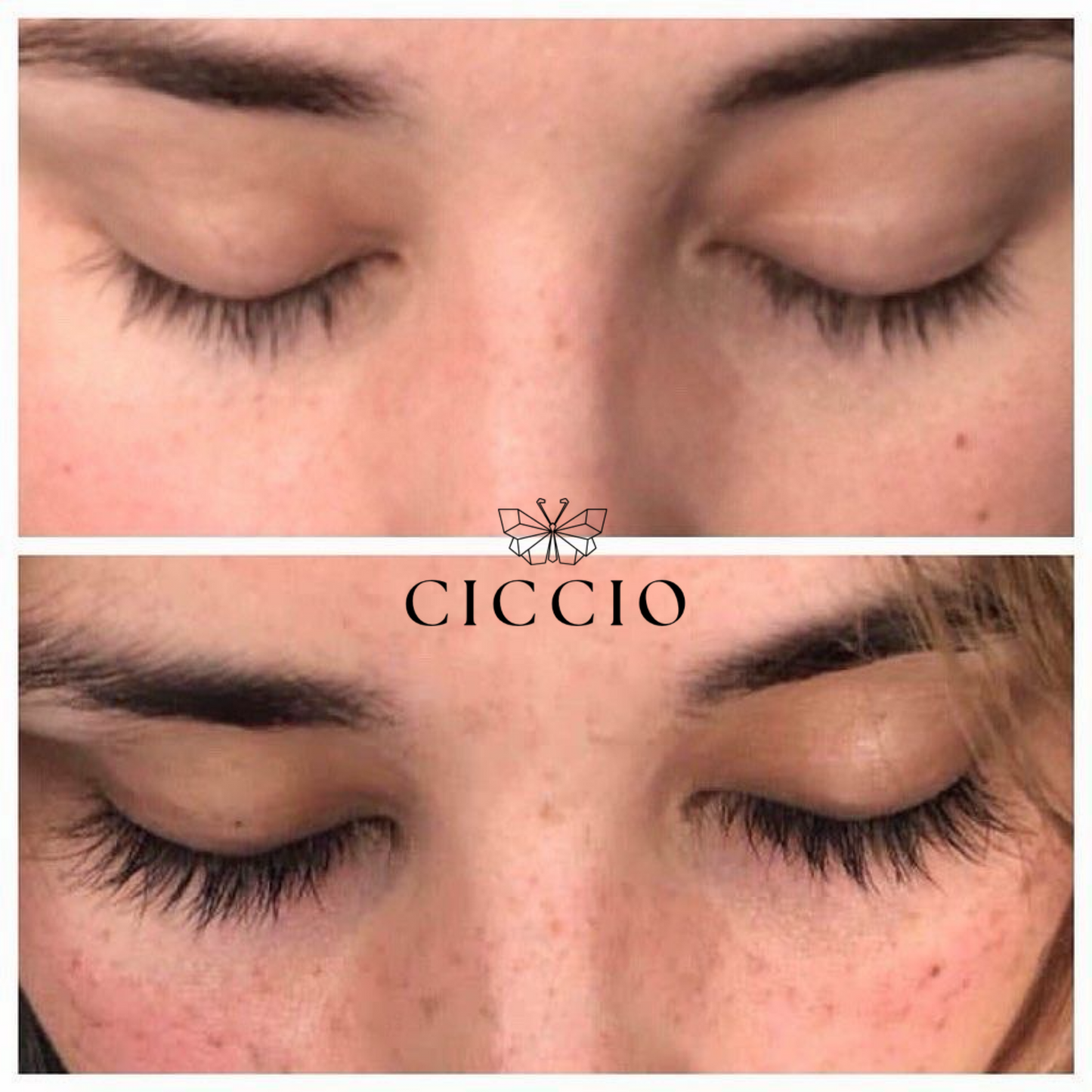 Ciccio Lash and Brow Serum